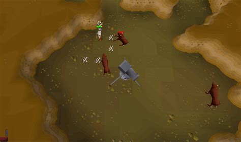 Osrs Cave Horrors Cannon Spot