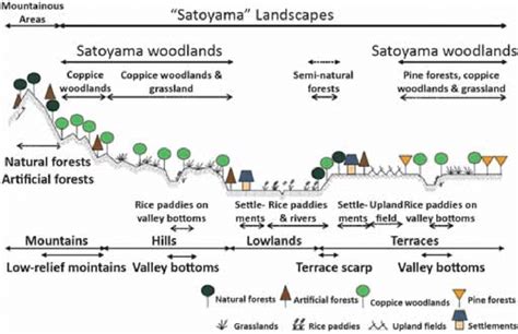 Transect schematic representation of Satoyama woodlands and Satoyama ...