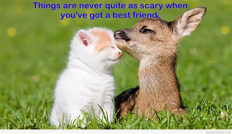 Animal Best Friend Quotes. QuotesGram