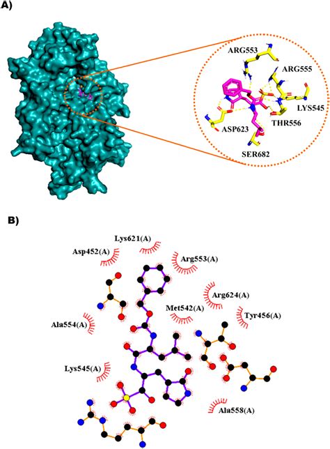 Representations Of Protein Ligand Complexes From Molecular Docking A