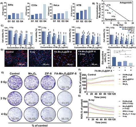 Effect Of Famn O Zif On The Proliferation And Ros Generation In