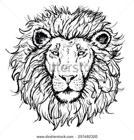 Pin By Sylvia Dev On Broderies Lion Head Drawing Drawings Lion