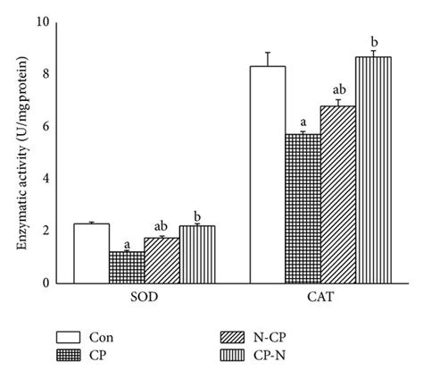 Effects Of Methanolic Leaves Extract Of Neem On Superoxide Dismutase