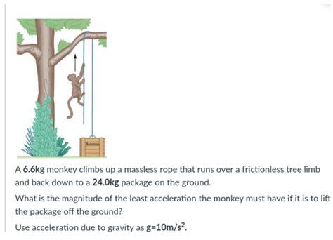 Solved A 6 6kg Monkey Climbs Up A Massless Rope That Runs Chegg