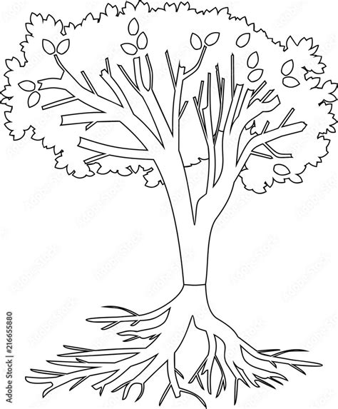 Vetor De Coloring Page Tree With Root System Do Stock Adobe Stock