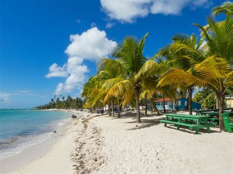 14 Best West Coast Barbados Hotels - Next Stop Barbados