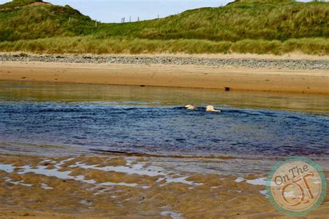 Lahinch Beach, Co. Clare - OnTheQT