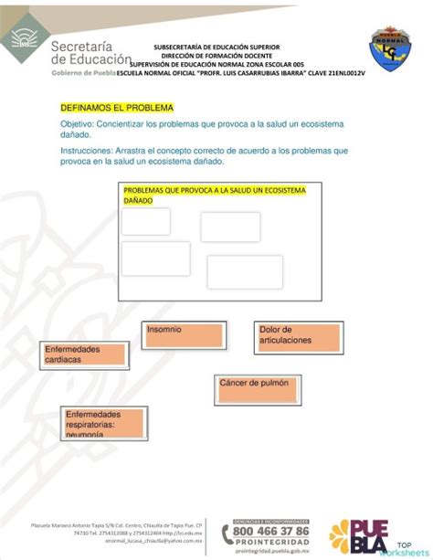 Conozcamos Los Ecosistemas Ficha Interactiva Topworksheets Nbkomputer