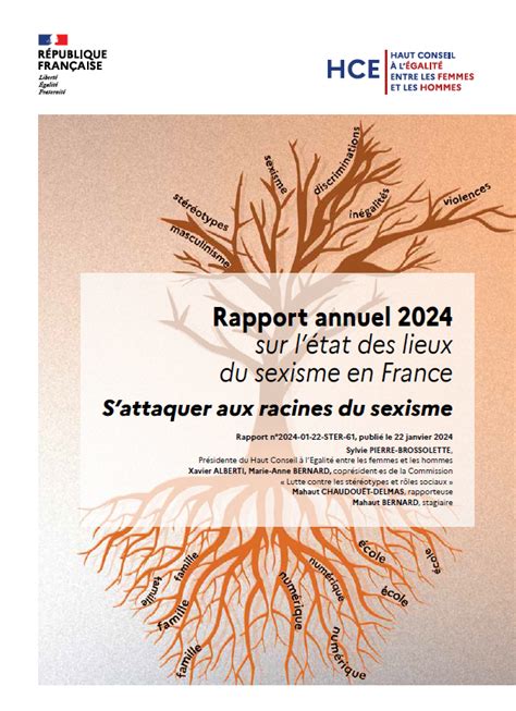 Rapport Annuel 2024 état Des Lieux Du Sexisme En France