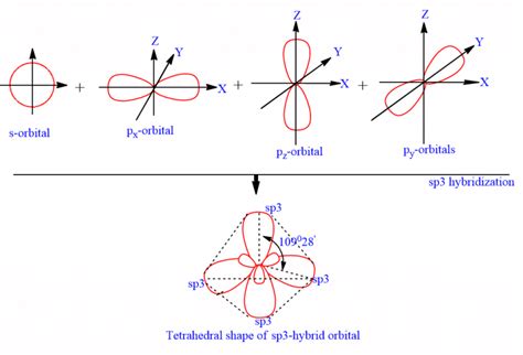 Hybridization Definition Types And Examples Chemistry Notes