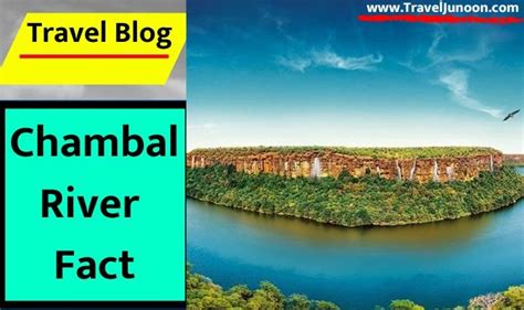 Chambal River