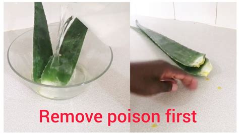 This Is How I Remove Poison From Aloe Vera Before I Use It As Prepoo On