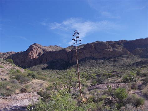 Bluff Spring Mountain Loop Photo 16 • Jasoncleghorn • 2015 05 30