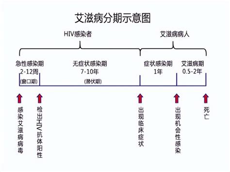 艾滋病的窗口期和潜伏期有什么区别？腾讯新闻