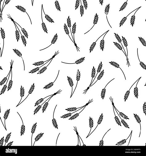 Wheat Barley Rice Pattern For Cereal Background Hand Drawn Sketch