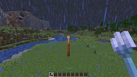 Hitting a lightning rod with a channeling trident works : r/Minecraft