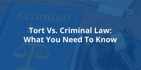 The Distinctions Between Tort And Criminal Law Duboff Associates