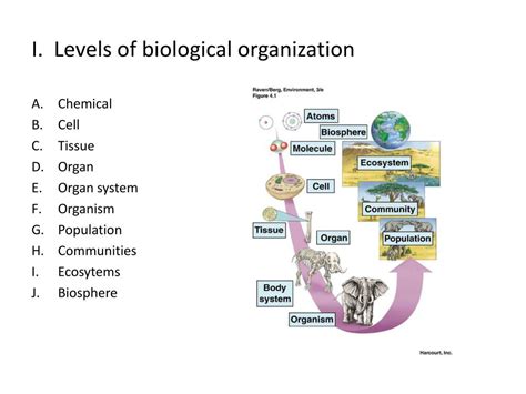 Ppt Introduction To A And P Powerpoint Presentation Free Download Id