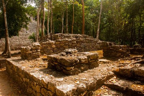 Coba Es Un Rea Arqueol Gica Y Una Se Al Famosa De La Pen Nsula Del