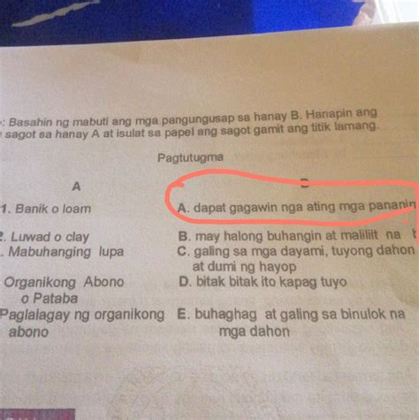 Dapat Gagawin Nga Ating Mga Pananim Banik O Loam Luwad O Clay