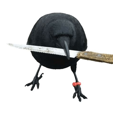 Crow With Knife Caw Sticker - Crow with knife Caw Cro - Discover ...