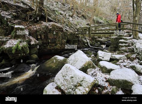 Walke on the bridge over Padley Gorge near Grindleford village, Peak District National Park ...