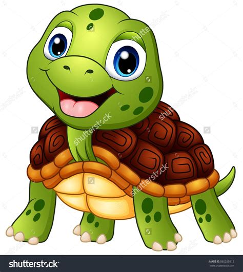 Tortoise Vector At Getdrawings Free Download