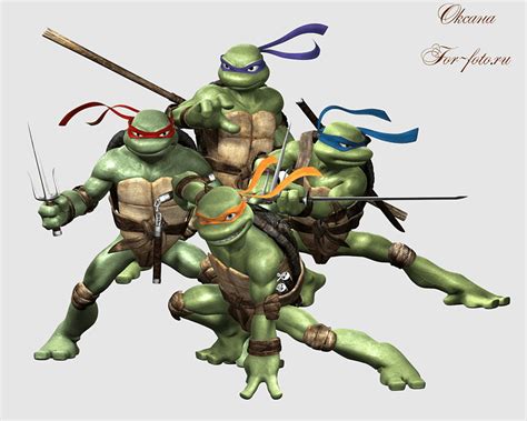 Teenage Mutant Ninja Turtles Other Strangeness Splinter Donatello