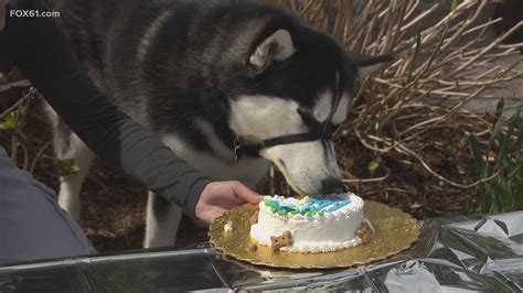 Uconn Celebrates Jonathon Xvs First Birthday Party