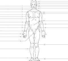 Biol Lab Terminology Flashcards Quizlet