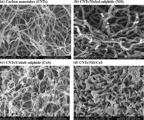 Sem Images Of A Carbon Nanotubes Cnts B Cnts Nis C Cnts Cos And D