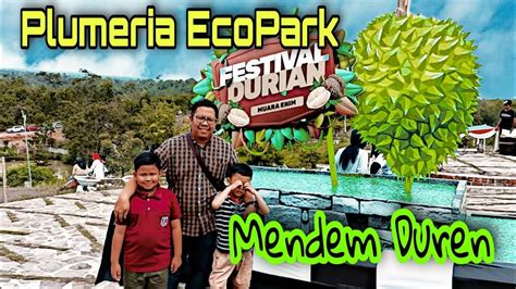 Festival Durian Plumeria Ecopark Muara Enim Durian Terbaik Langsung