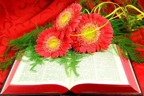 Open Bible With Flowers