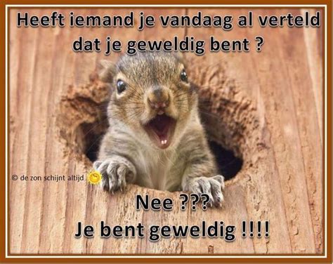 Heeft Iemand Je Vandaag Al Verteld Dat Je Geweldig Bent Je Bent