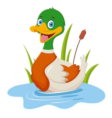 Vector Illustration Happy Duck Cartoon Isolated White Background Stock