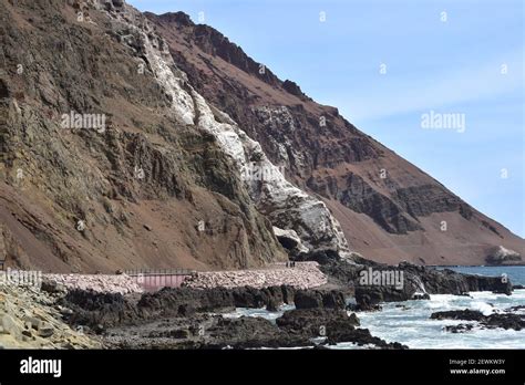 Dep Sito De Guano Raya Blanca Este Guano Fertilizante Es Un