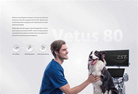 VETUS 80 Ultrasonido Veterinario Mindray PPT