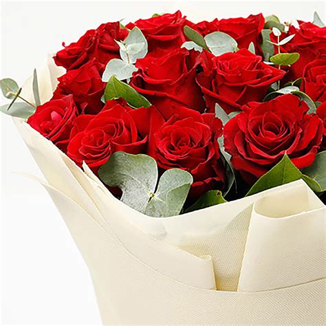 Online Timeless 25 Red Roses Bouquet T Delivery In Singapore Fnp