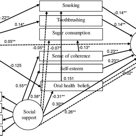 Conceptual Framework Of The Associations Between Socioeconomic Status