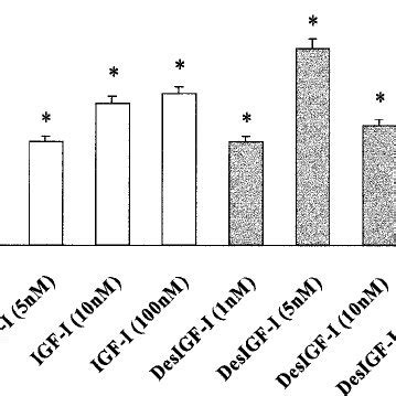 Agarose Drop Assay The IGF Stimulatory Effect On Neuroblast Motility