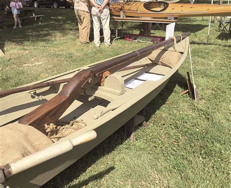 About Those Punt Guns