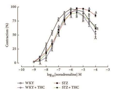 Cumulative Concentration Response Curves In Thoracic Aortic Rings To