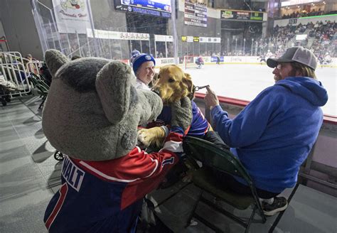 Notice A Furry Wenatchee Wild Fan At Hockey Games Tannker Does A Lot