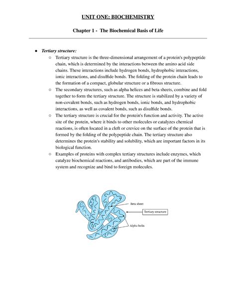 Biochemistry Chapter Section Pt Unit One Biochemistry Chapter