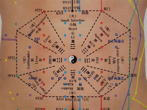 Ba Kuo Chart Of Zang Fu Organs System