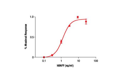 Human BAFF TNFSF13B HBAFF Cell Signaling Technology