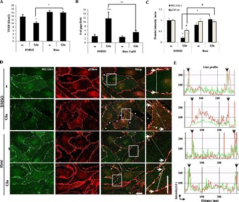 Cdk Inhibition Reverses The Disrupted Cell Adhesion Induced By