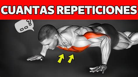 Estudio Descubrio Cuantas Flexiones Hay Que Hacer Al Dia Para Tener