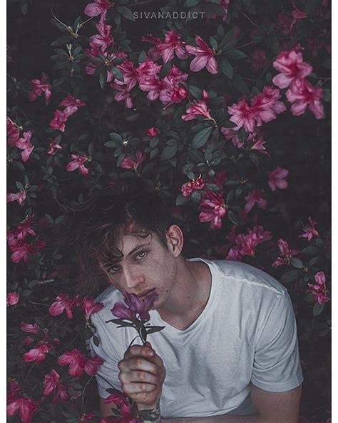 He Most Beautiful Today Troye Sivan Amino