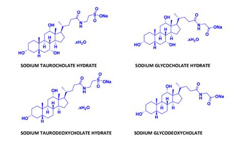 Conjugated Bile Salts A Complete Overview Advent Chembio Advent